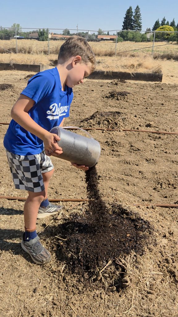 a student pours soil on a seed mound in the field where pumpkin seeds are planted.